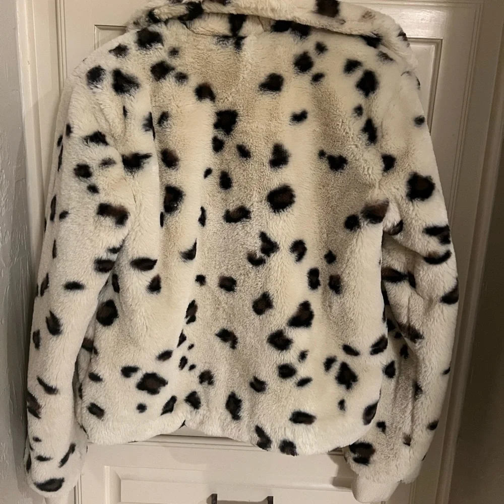 Jacket - Picture 2 of 3